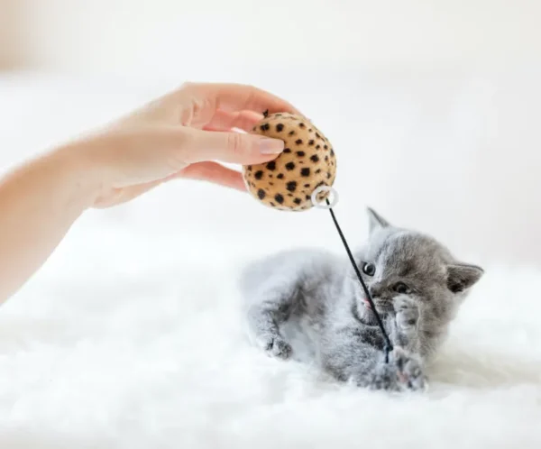 Juguete para gatos