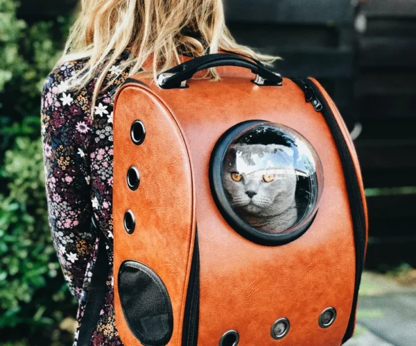 Bolso transportador Gato/perro