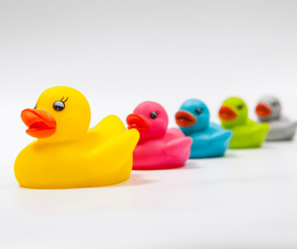 14 Patito de colores