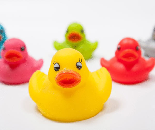 15 Patito de colores